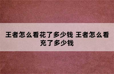 王者怎么看花了多少钱 王者怎么看充了多少钱